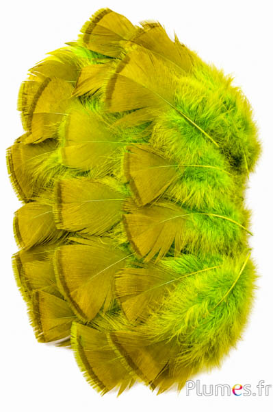 Tacchino bronzo - sbiancato - 5-15 cm - lime-caramello
